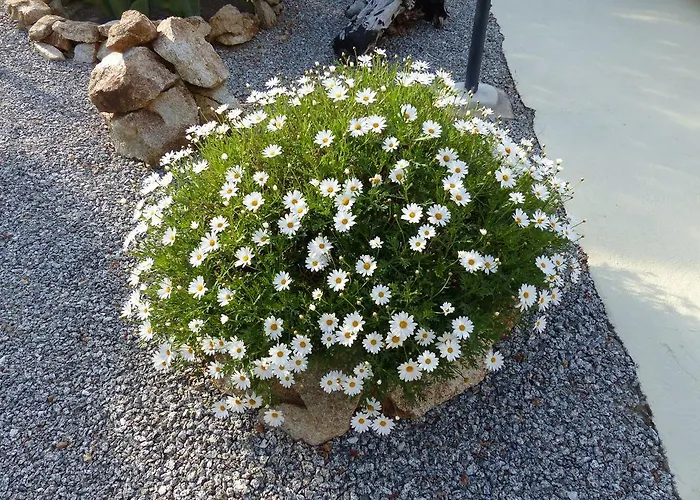 アパート Chic In Italy パルゲリーア